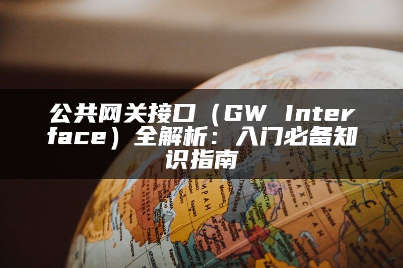 公共网关接口（GW Interface）全解析：入门必备知识指南