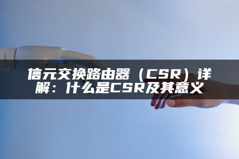 信元交换路由器（CSR）详解：什么是CSR及其意义