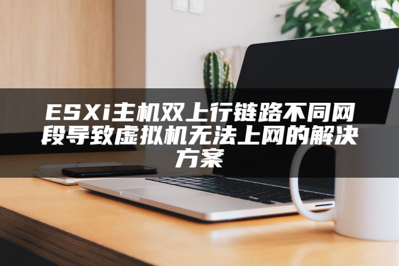 ESXi主机双上行链路不同网段导致虚拟机无法上网的解决方案