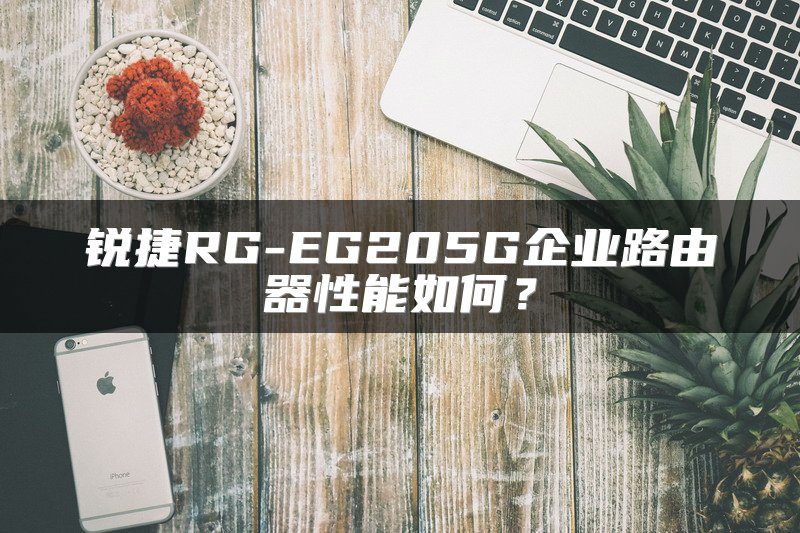 锐捷RG-EG205G企业路由器性能如何？