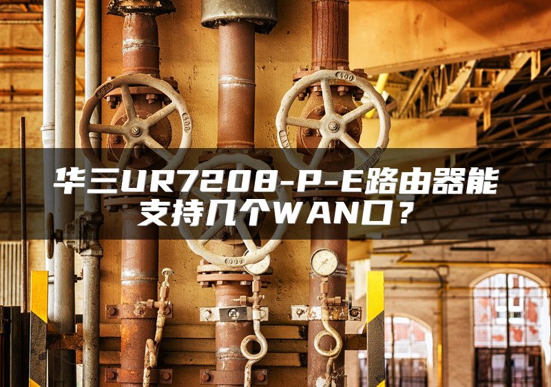 华三UR7208-P-E路由器能支持几个WAN口？