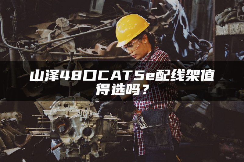 山泽48口CAT5e配线架值得选吗？