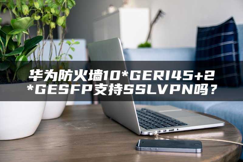 华为防火墙10*GERI45+2*GESFP支持SSLVPN吗？