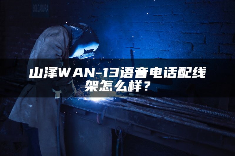 山泽WAN-13语音电话配线架怎么样？