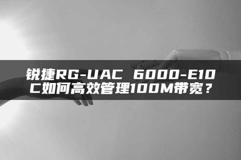 锐捷RG-UAC 6000-E10C如何高效管理100M带宽？