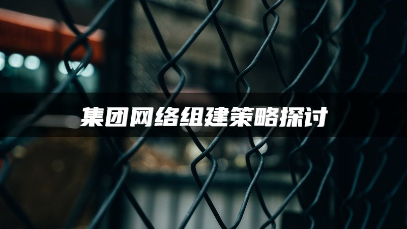 集团网络组建策略探讨