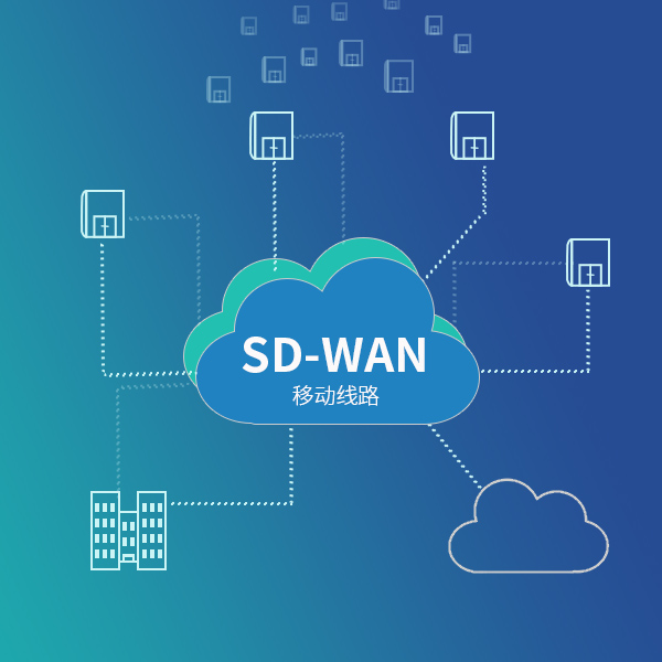 SD-WAN 移动线路