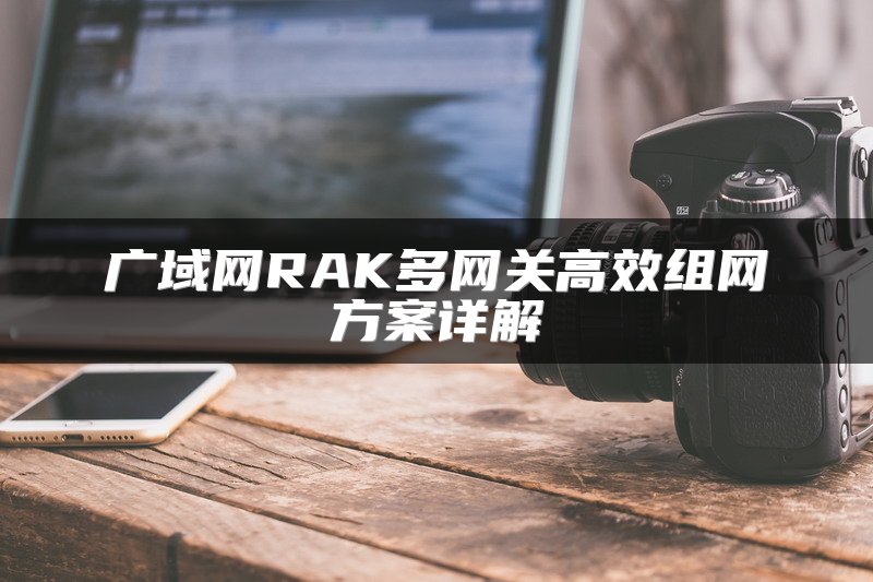 广域网RAK多网关高效组网方案详解