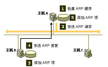 地址解析协议(ARP)：详解ARP是什么及工作原理