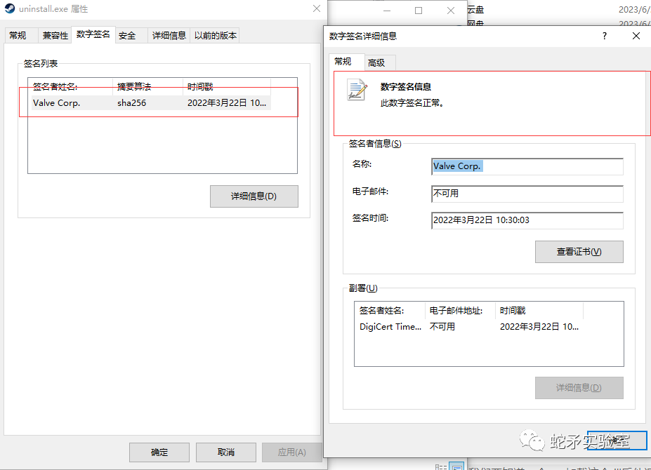 白加黑技术在免杀领域：深度解析攻击防御白黑艺术