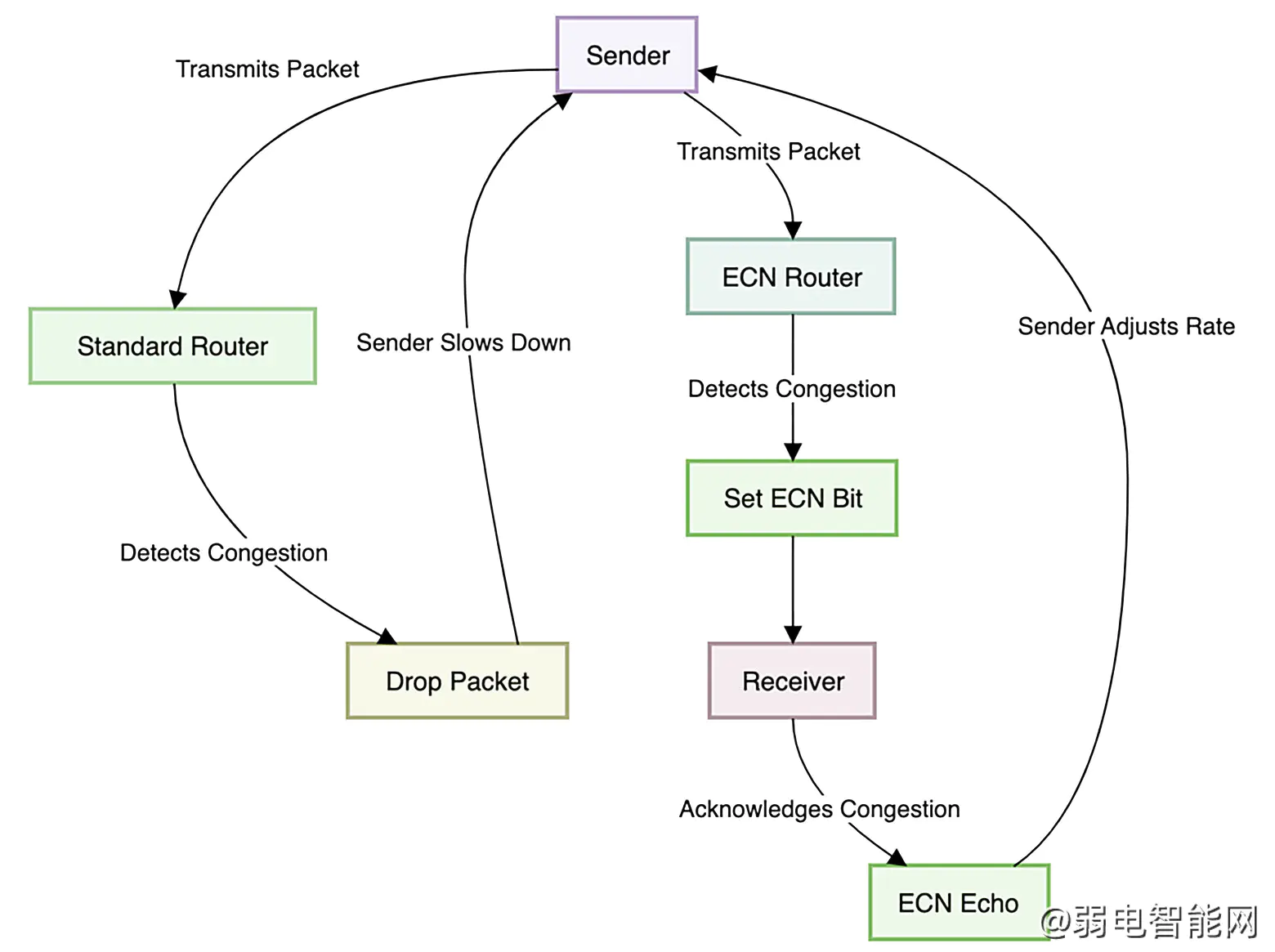 ECN: 深入解析与应用指南