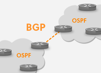 OSPF与BGP对比：选择最佳路由协议指南