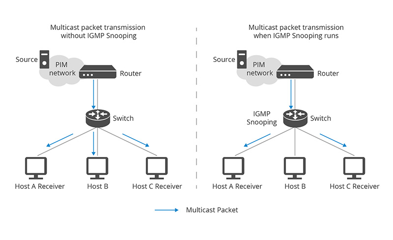 IGMP Snooping详解：原理与作用全解析